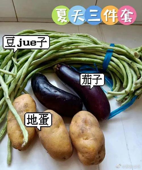 豆橛子和豇豆的区别「山东人吃不起豆橛子的原因」 绿源电动车