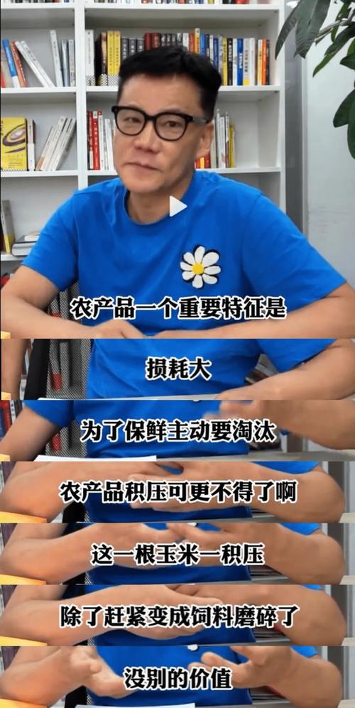 新东方助农，是新东方赚的多，还是农民赚的多「辛巴胖子」 电动车